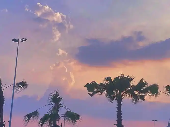 的风景都在这记得点赞加tt不然今晚鬼来[doge][doge][doge]#ins风壁纸