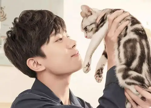 易烊千玺的三只猫要出道了关于谁是c位的问题引起粉丝争论