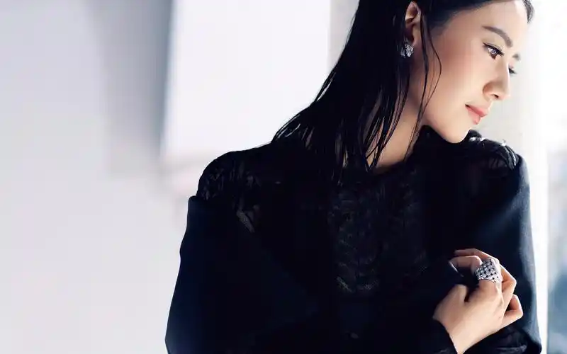 高圆圆壁纸图片