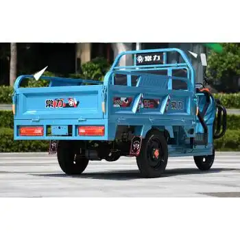 载重拉货电动三轮车 常力品牌电动三轮车货车载重王拉货快递车新款