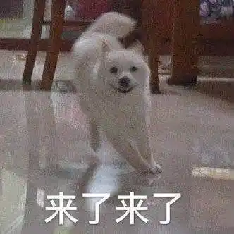 来了来了 - 斗图表情包 - 斗图达人