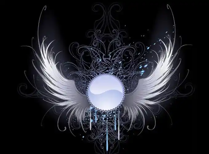 十二星座代表的专属翅膀 十二星座对应的翅膀类型_达一风水网