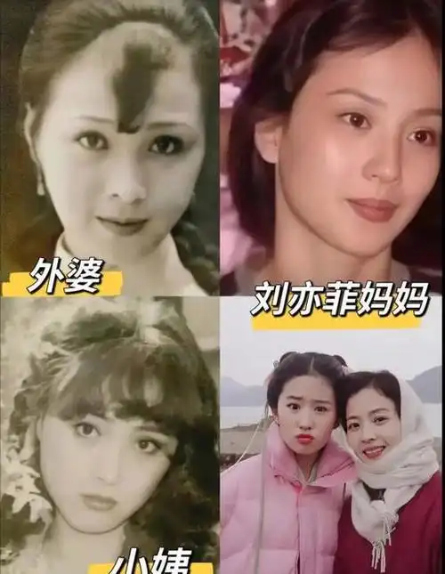 刘亦菲母亲刘晓莉长得比女儿还漂亮两婚两离65岁单身也幸福