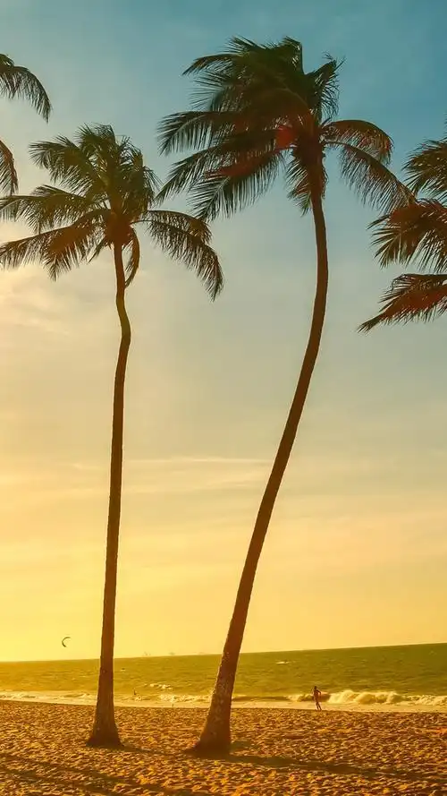 海边沙滩风景高清手机壁纸图片