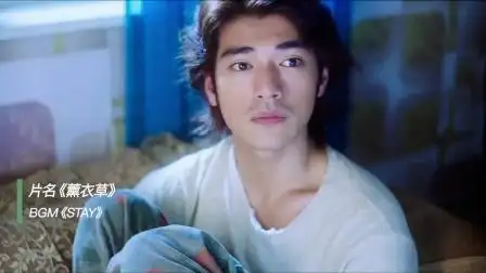 薰衣草#金城武#来get一下