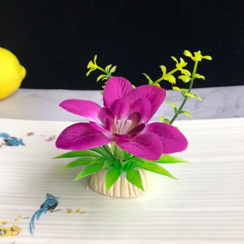 酒店意境菜品冷菜盘饰餐饮刺身摆盘装饰花草创意小摆件寿司点缀花 图5