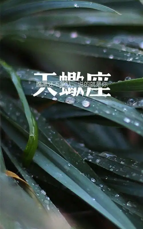 天蝎座文字创意写真