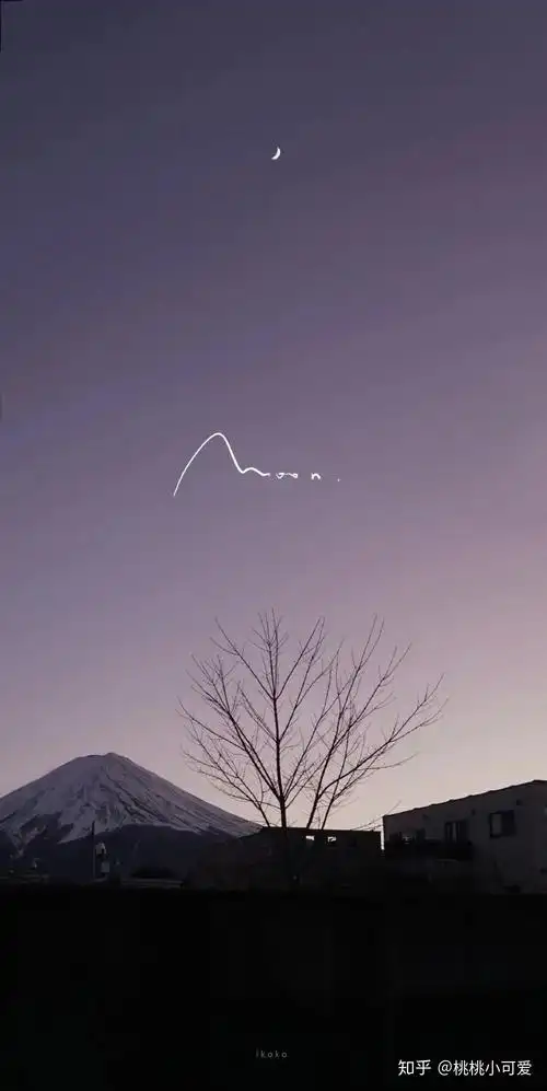 有没有简约的壁纸不要色彩太丰富的手绘的植物系列也可以谢了