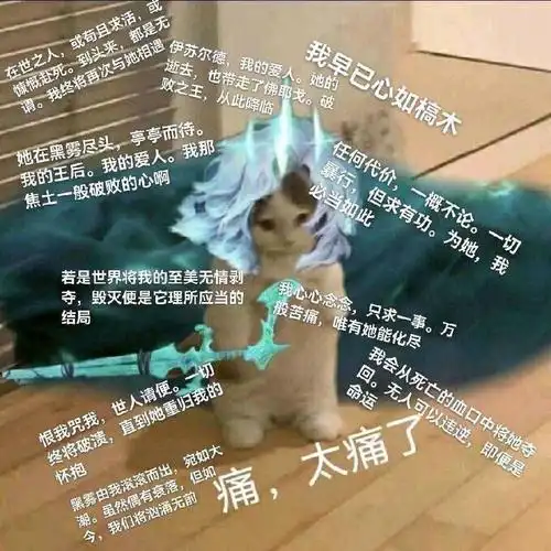 英雄联盟猫猫表情包第四期