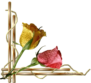 玫瑰花漂亮闪烁美丽gif动图_动态图_表情包下载_soogif