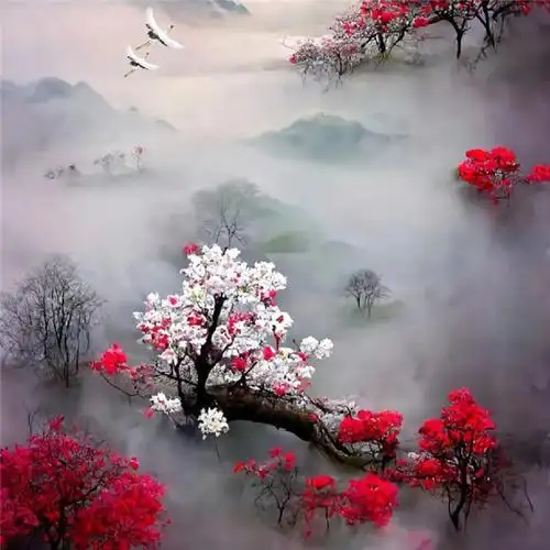 傲雪寒梅头像高清图片