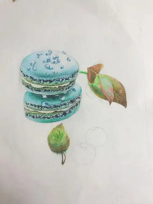 彩铅画马卡龙附过程