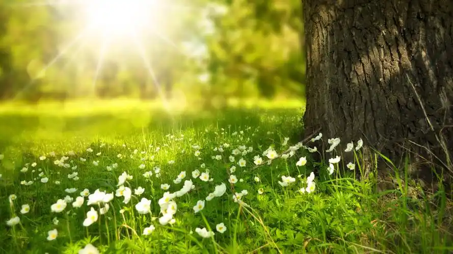 清新唯美自然风景桌面壁纸