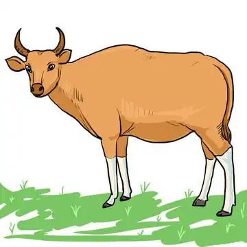 黄牛设计图__卡通设计_广告设计_设计图库_昵图网nipic.com