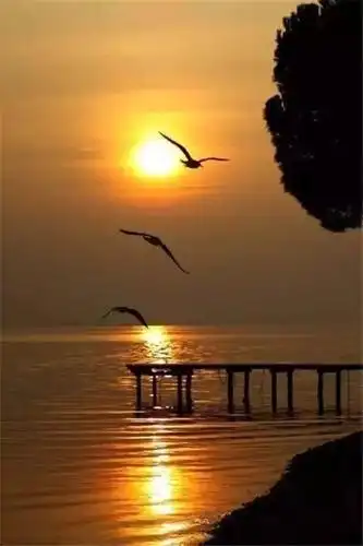 古训:所谓善良,其实就是心安理得