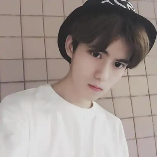 是你的少年模样