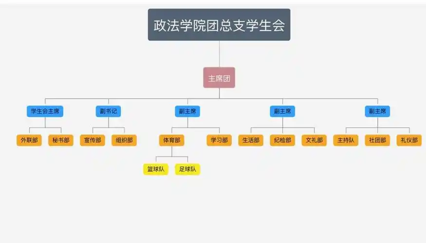 政法学院团总支学生会组织结构图