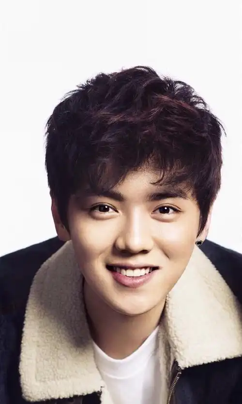 小鲜肉帅哥鹿晗iphone6壁纸明星写真帅哥图片小鲜肉人气偶像鹿晗