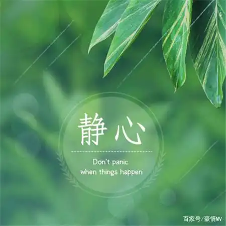 让人看了就静心的图片_看淡心静的唯美图片