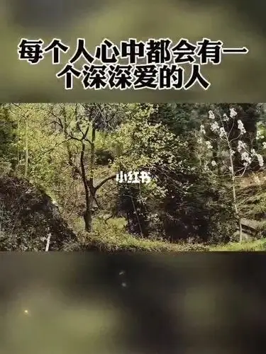 每个人心中都会有一个深深爱的人