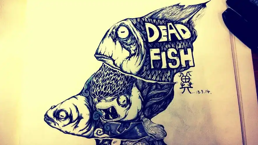 死鱼   dead fish