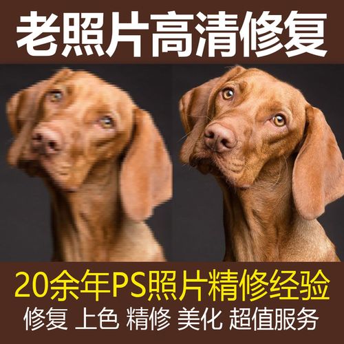 老照片修复冲印图片模糊变清晰相片黑白上色无损放大像素划痕修复