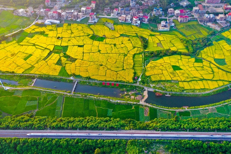 福建惠安奏响乡村振兴曲唱好村美民富歌