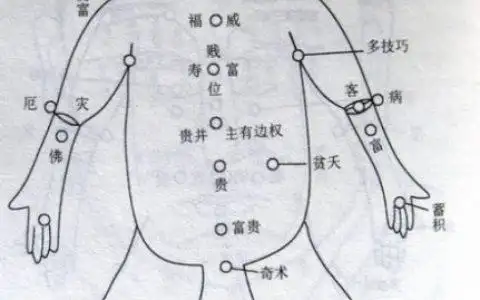 女人颈部四个痣相图解 肚子上有痣看相图解