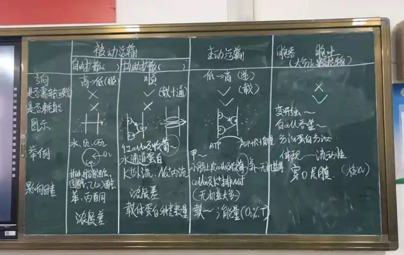 泰安一中新校区高一级部青年教师板书设计比赛