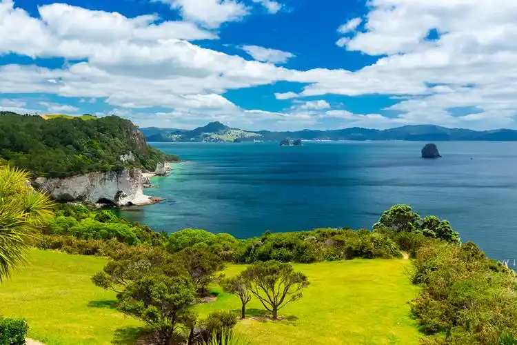 鲁冰花盛开季节的新西兰中土世界之旅