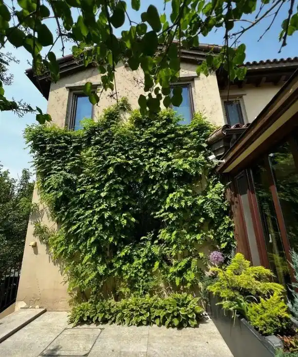 48岁梅婷晒家中豪宅自拍照,疑似怀上第三胎,肚子微凸眼圈发黑