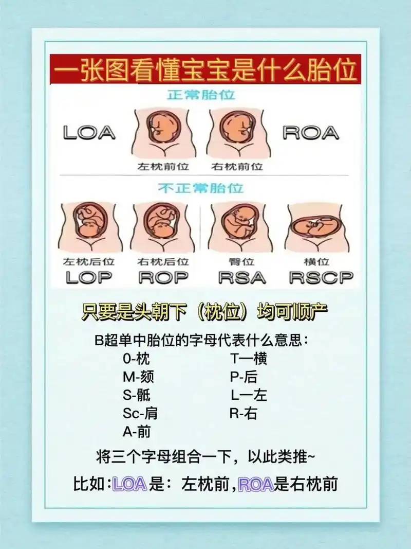一张图看懂宝宝是什么胎位 新手妈妈快学起来