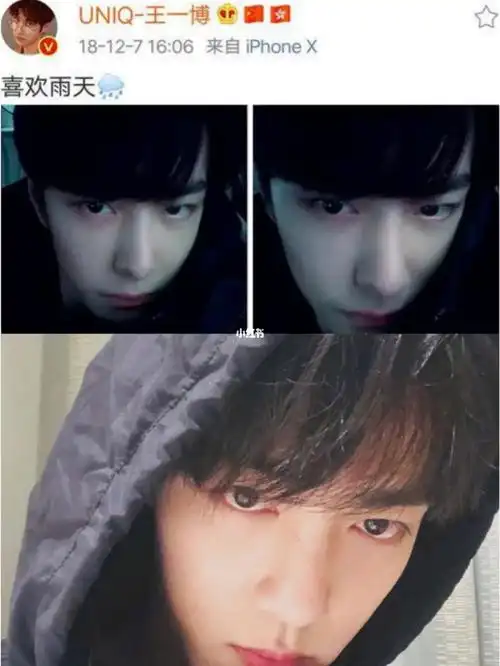 过年了作业要交奶龟要喂你俩都不耽误