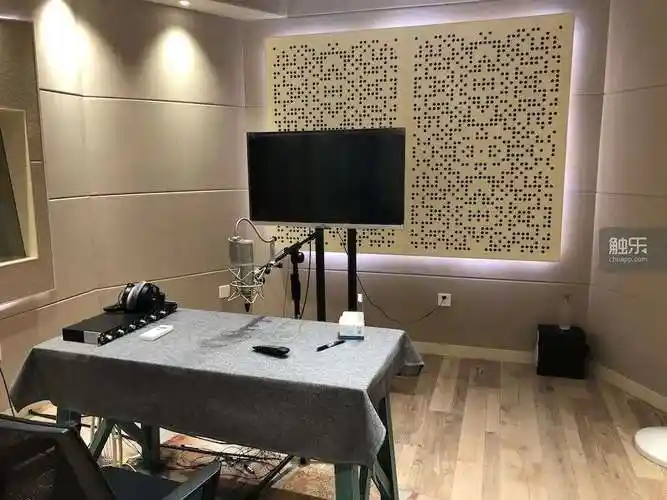 为游戏献声中文配音演员和他们心中的好声音