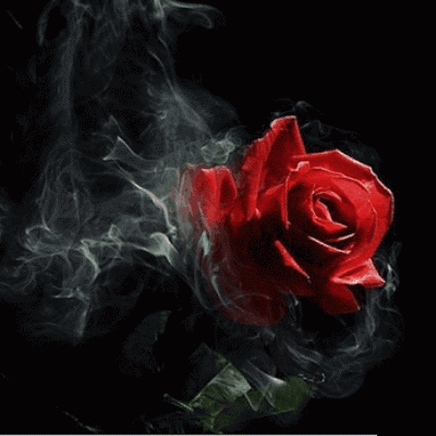 400_400gif 动态图 动图