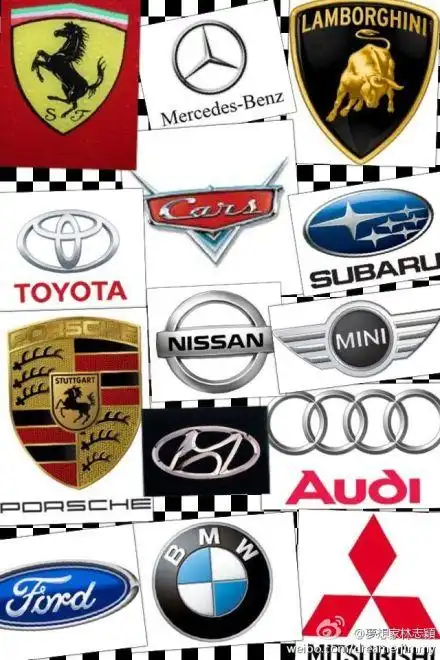 这个车标是什么牌子?
