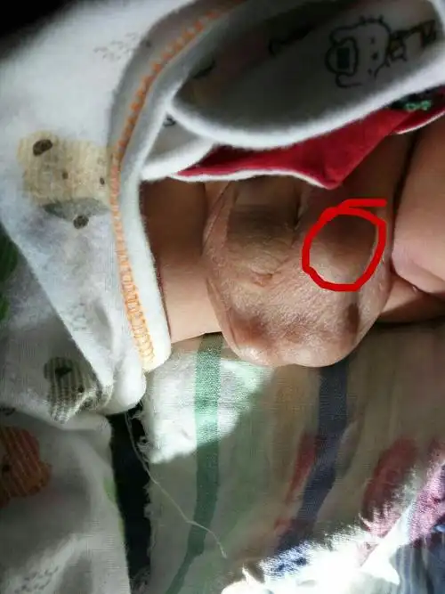 13楼 是不是这样的