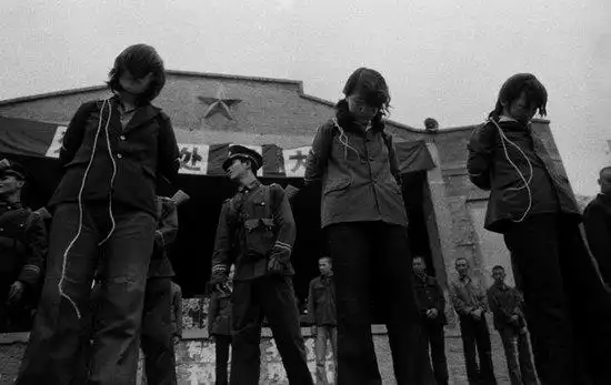 打架,偷盗抢劫,团伙犯案和"女流氓"罪