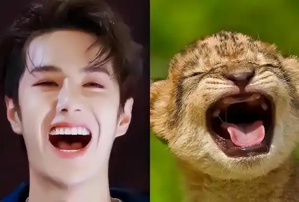 10位像动物的明星王一博肖战还能忍看到易烊千玺简直是神似