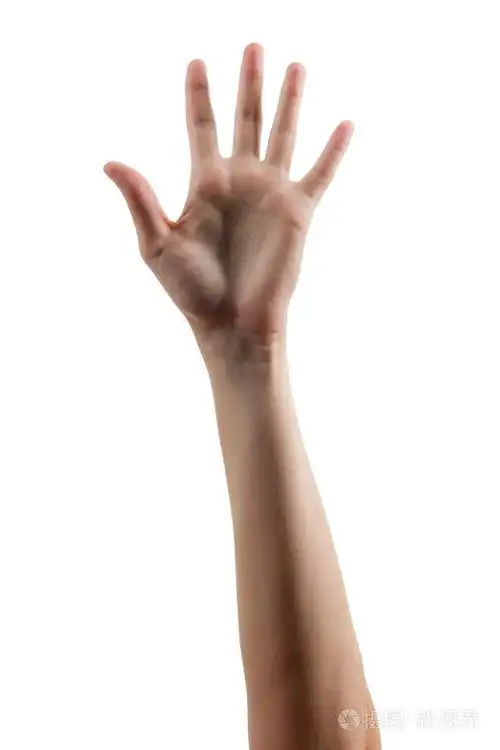 照片 人们在白色背景上孤立地举起双手. 许多人手牵手.jpg