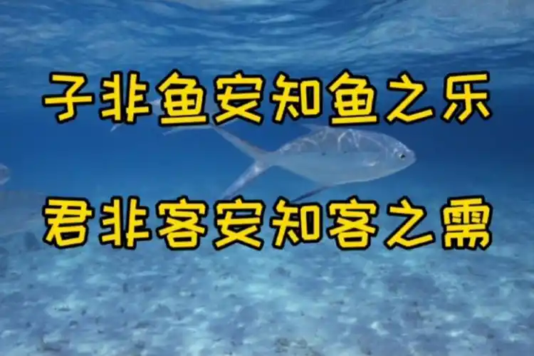 子非鱼安知鱼之乐君非客安知客之需用户思维该如何了解客户呢