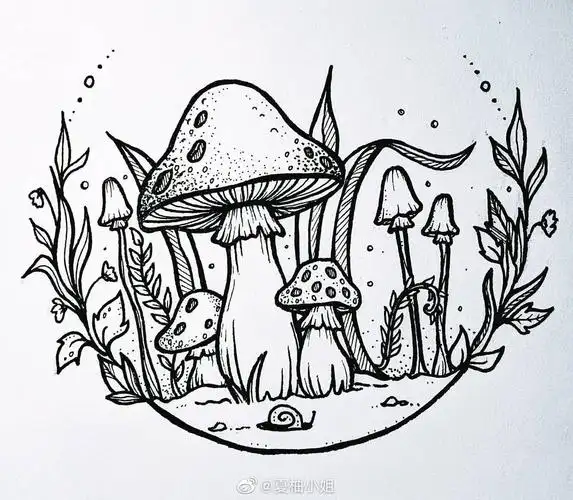 简单好看的线描装饰画练笔必备sicilia