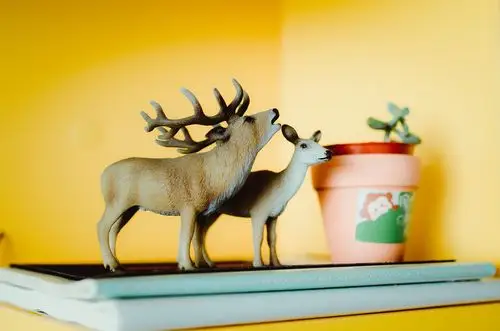 随手拍的小物件