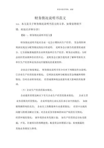 财务情况说明书范文