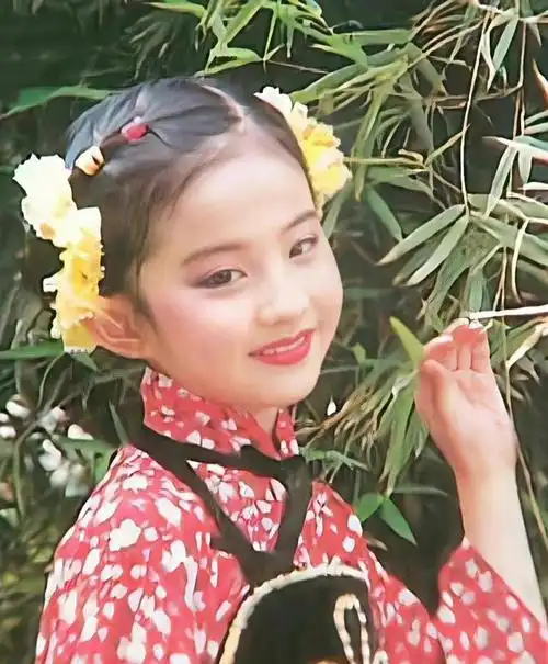 刘亦菲小时候