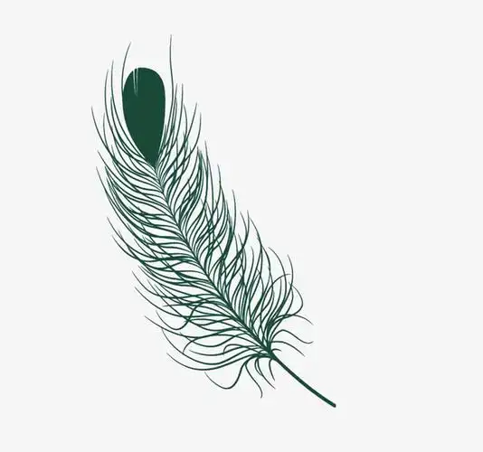 简单手绘羽毛