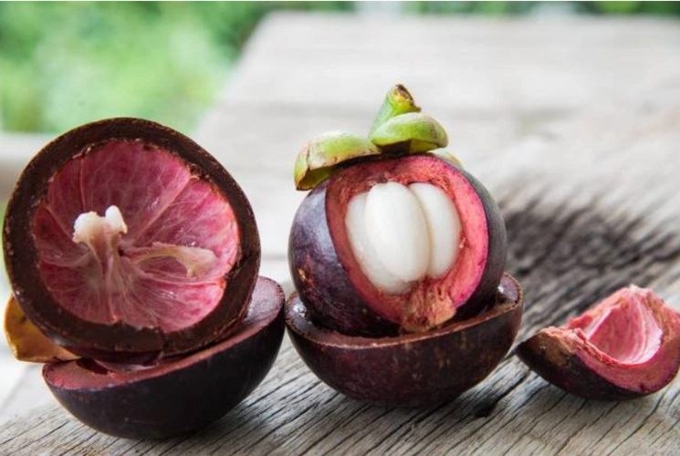 变褐色或者变黑,说明山竹存放时间长了,不新鲜了( 表示此山竹已太老