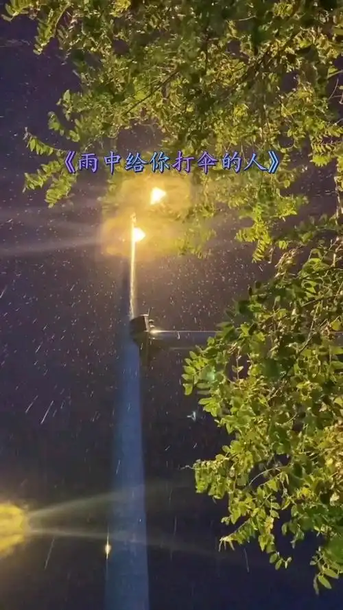 雨中给你打伞的人