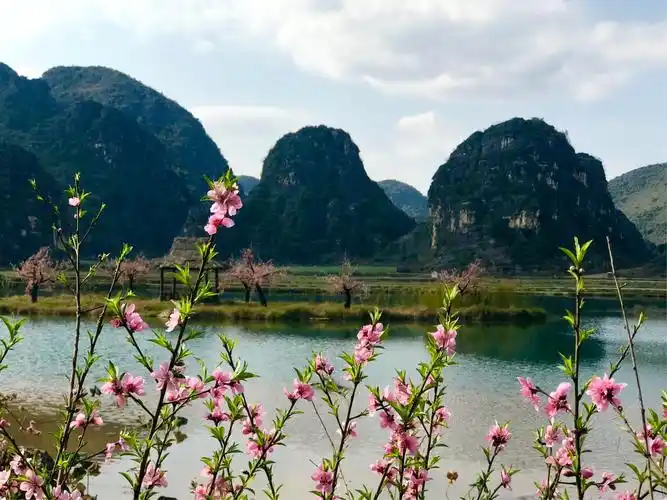 其它 三生三世十里桃花 写美篇漫步于普者黑的山水之间,总会在不经意