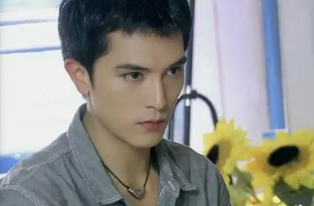 这10位偶像级男星,怎么混成了这样?